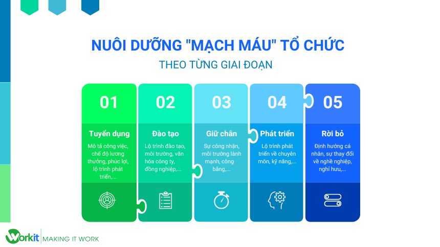 vòng đời nhân viên là gì?
