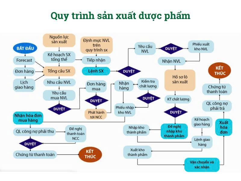Quy trình sản xuất ngành dược phẩm