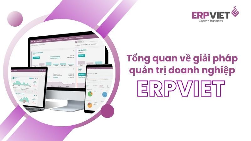 Công ty cung cấp phần mềm ERPViet