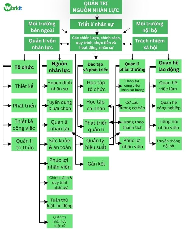 Hệ thống quản trị nguồn nhân lực