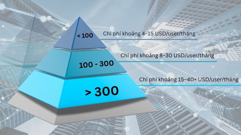 Mức giá phần mềm quản lí nhân sự theo quy mô doanh nghiệp